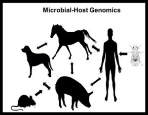 Microbial Host Genomics