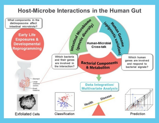 Host-Microbe