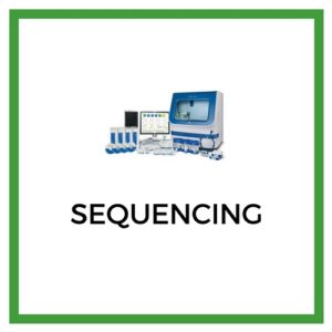 Image of Sequencing